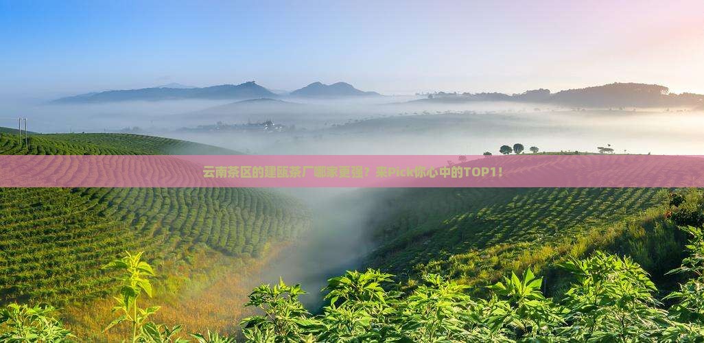 云南的茶区建瓯茶厂排名