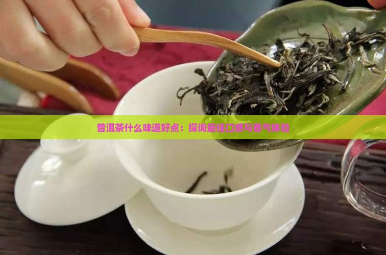 普洱茶什么味道好点