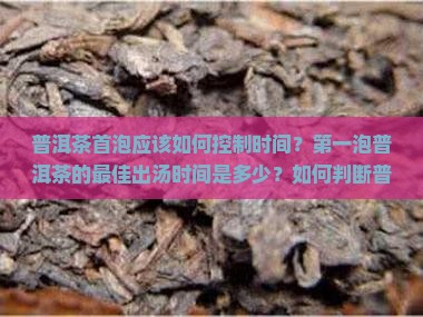 普洱茶第一泡多长时间出汤 普洱茶第一泡多长时间出汤
