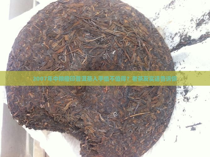 中粮橙印2007普洱茶