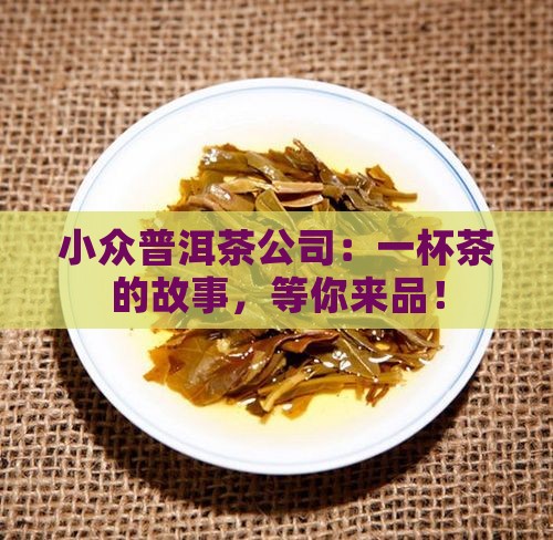 小众普洱茶有限公司