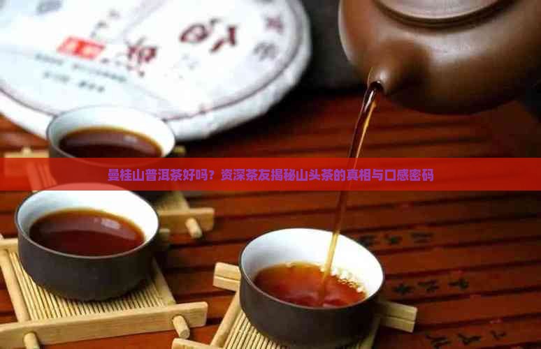 曼桂山普洱茶好吗