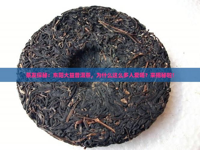 东阳大益普洱茶欢迎您 东阳大益普洱茶欢迎您