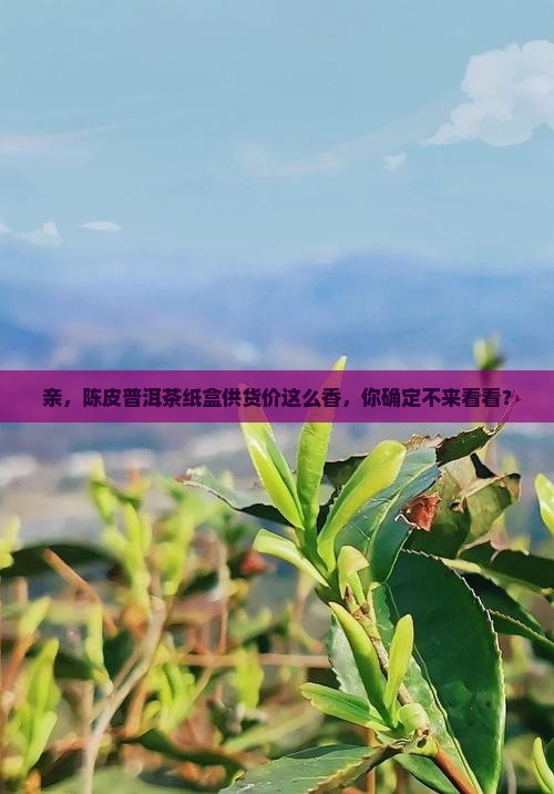 陈皮普洱茶纸盒供货价格
