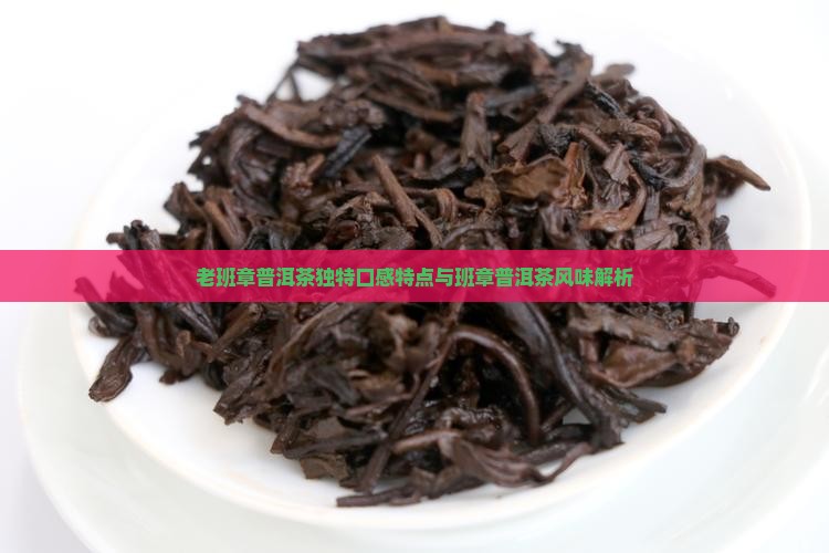 老班章的口味特点