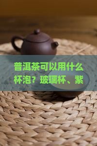 普洱茶可以用什么杯泡
