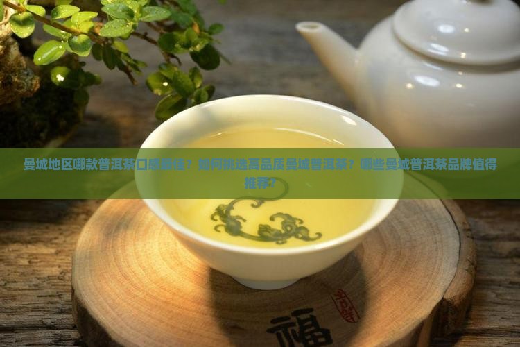 曼城普洱茶哪个好喝