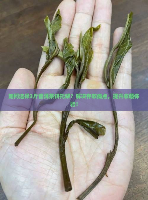 普洱茶3斤茶饼托架