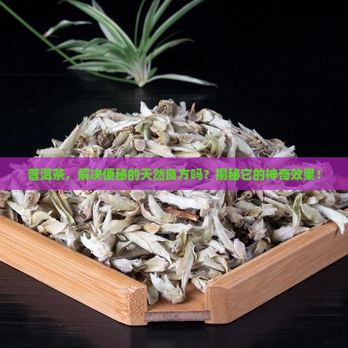 便秘喝普洱茶可以吗