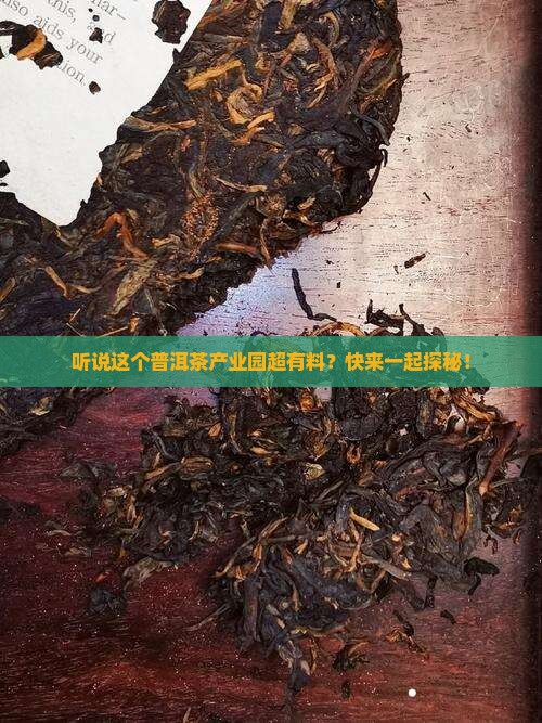 普洱茶产业园区