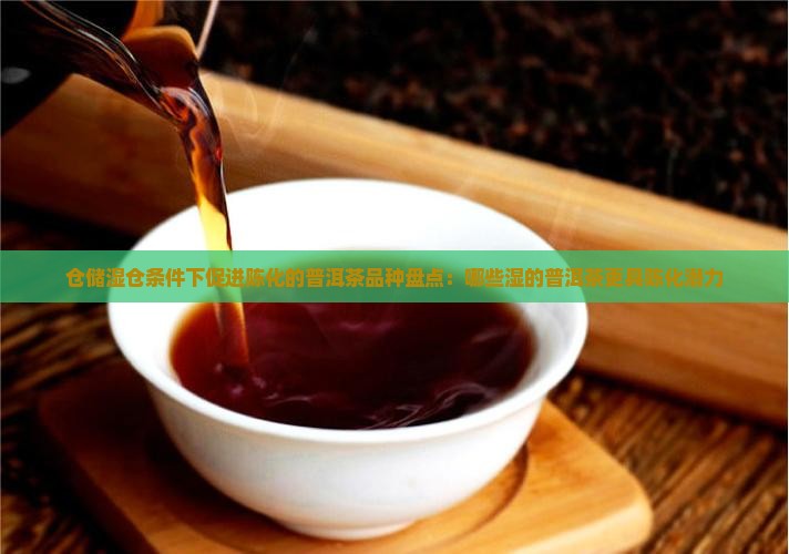 仓储较湿的普洱茶有哪些