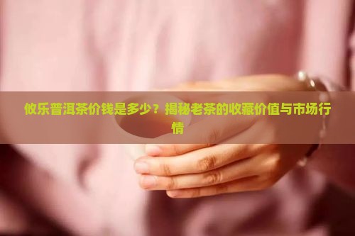 攸乐普洱茶价钱