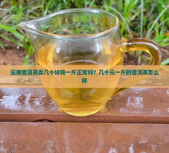 云南普洱茶卖几十块钱一斤