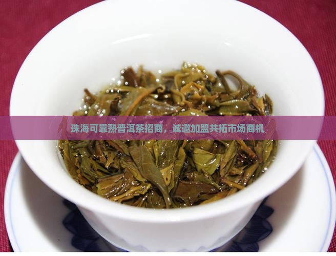 珠海可靠熟普洱茶招商