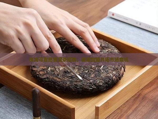 珠海可靠熟普洱茶招商