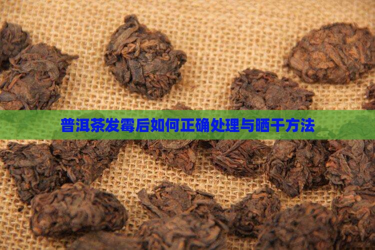 发霉的普洱茶能够晒吗