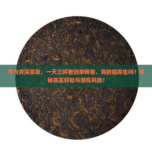 喝老班章砖茶的好处和坏处