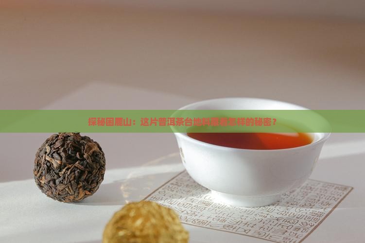 困鹿山普洱茶台地料