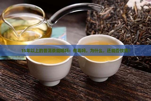 15年以上的普洱茶能喝吗