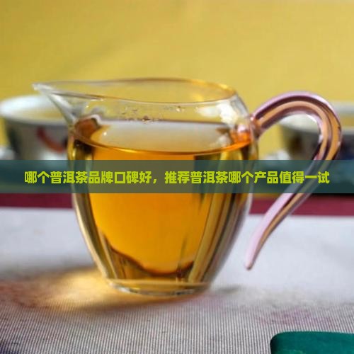 普洱茶什么产品好