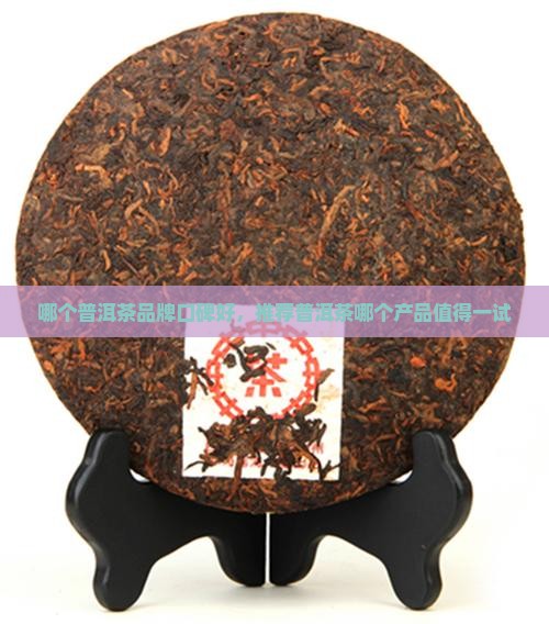 普洱茶什么产品好