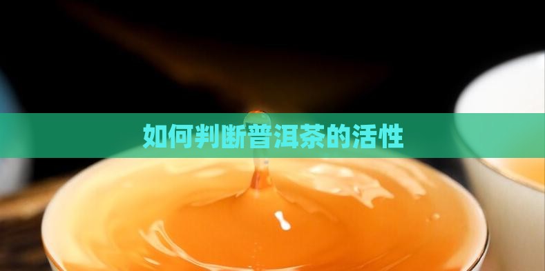 普洱茶测试活性