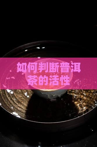 普洱茶测试活性