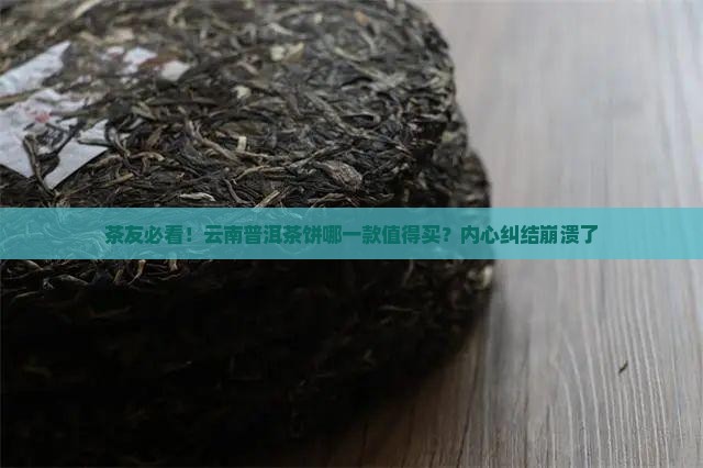 云南普洱茶饼哪个好