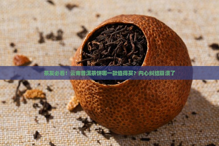云南普洱茶饼哪个好
