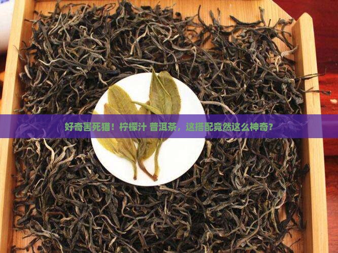柠檬汁配普洱茶的功效与作用