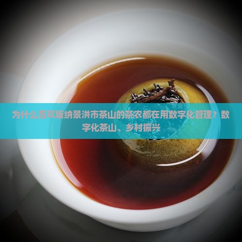 西双版纳景洪市茶山