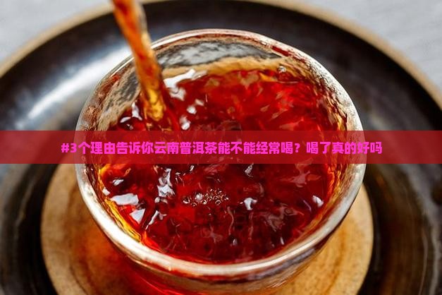 云南普洱茶能经常喝吗