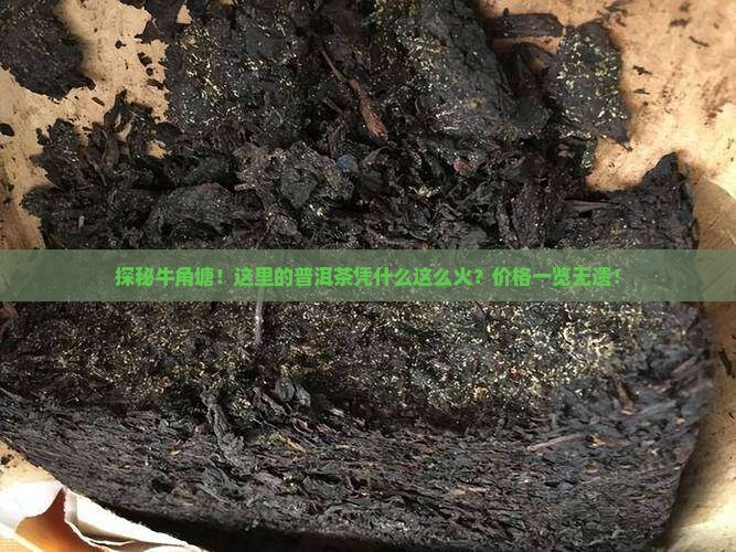 牛角塘普洱茶价格表