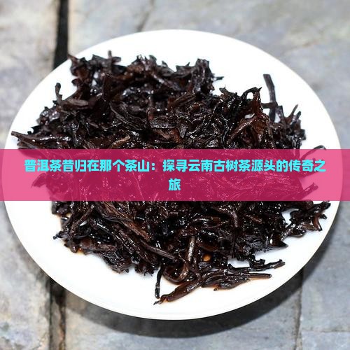 普洱茶昔归在那个茶山
