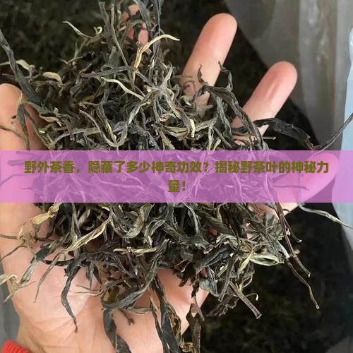 野茶叶有什么功能一