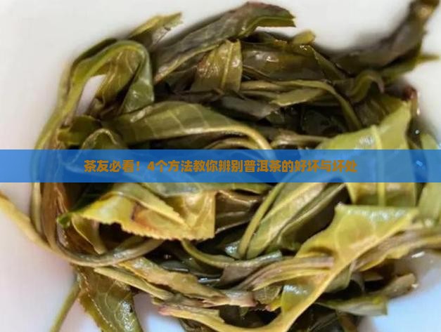 普洱茶的好坏与坏处