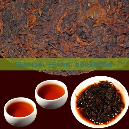 普洱茶茶树王十五年