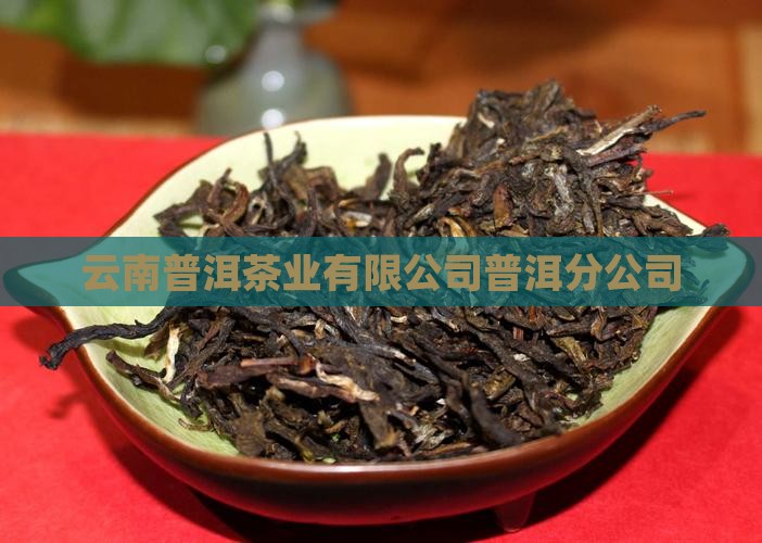 普洱茶笋叶电话
