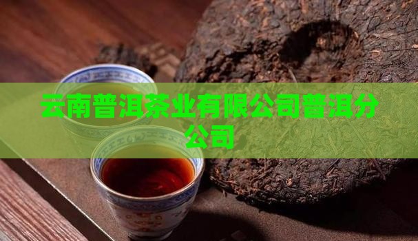 普洱茶笋叶电话