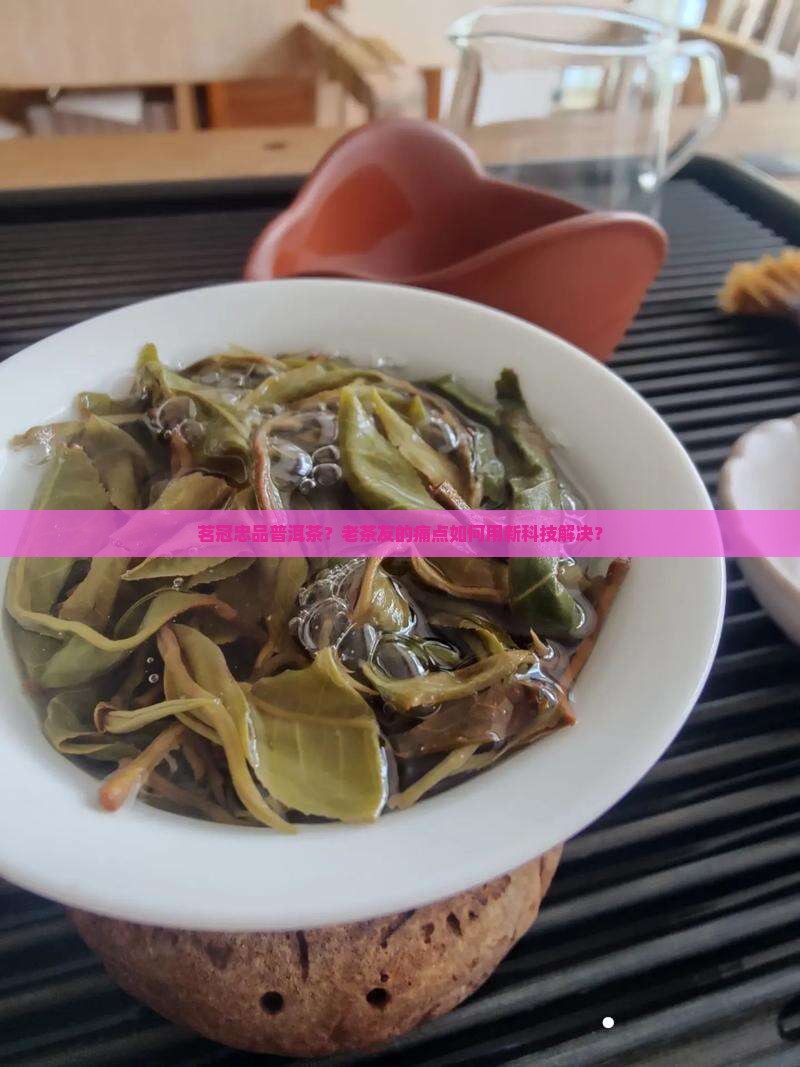 茗冠忠品普洱茶