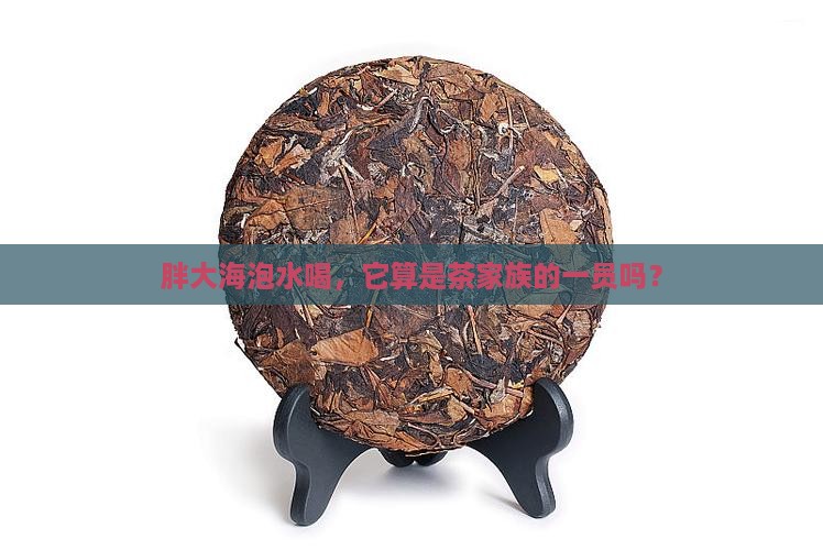 胖大海是茶叶吗