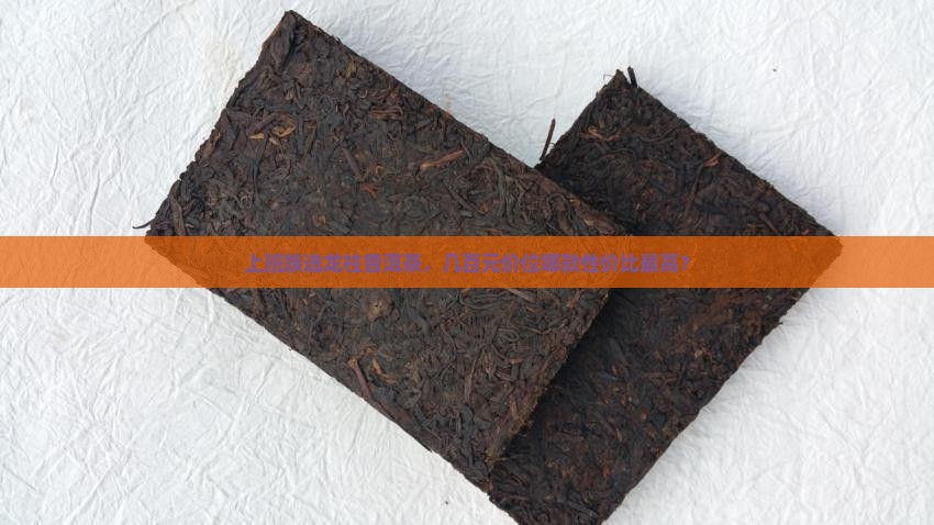 龙柱普洱茶什么价位好一点