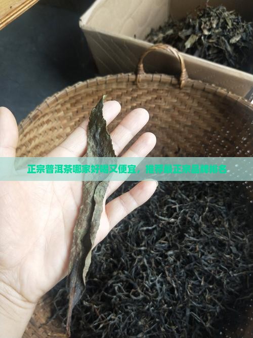 正宗普洱茶哪家好