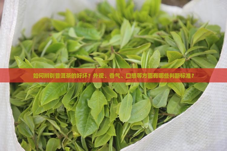 如何辩别普洱茶的好坏