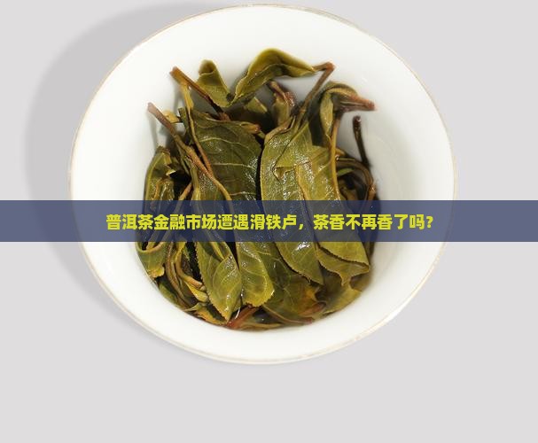 金融普洱茶大跌