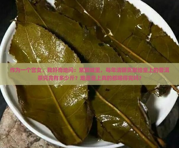 满清进贡朝廷的普洱茶