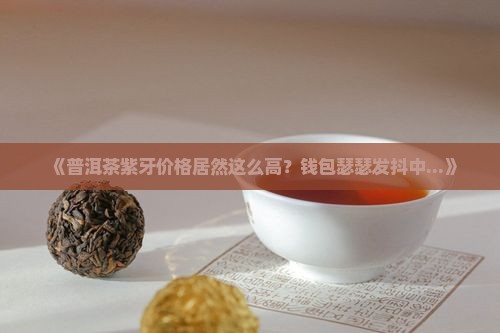 普洱茶紫牙价格