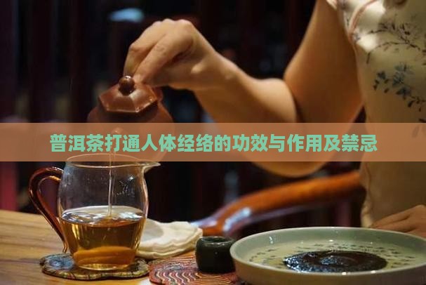 普洱茶打通人体经络的功效