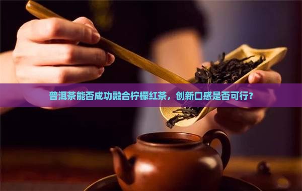 普洱茶可以做柠檬红茶吗