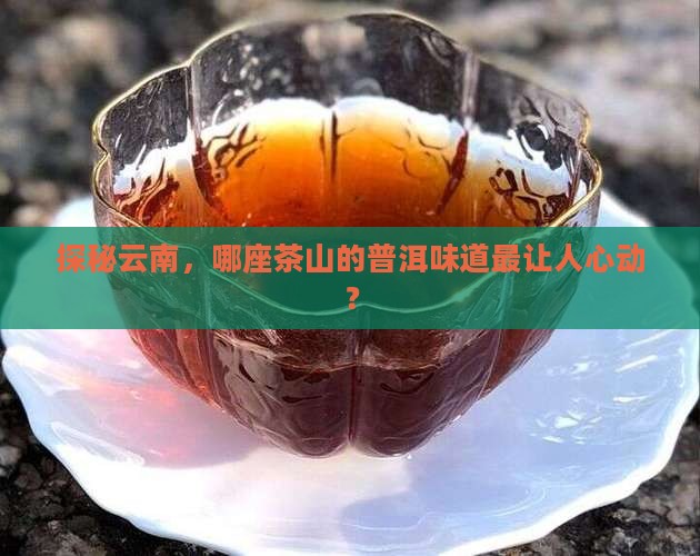云南普洱茶山头